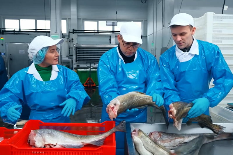 Россияне все чаще выбирают рыбу